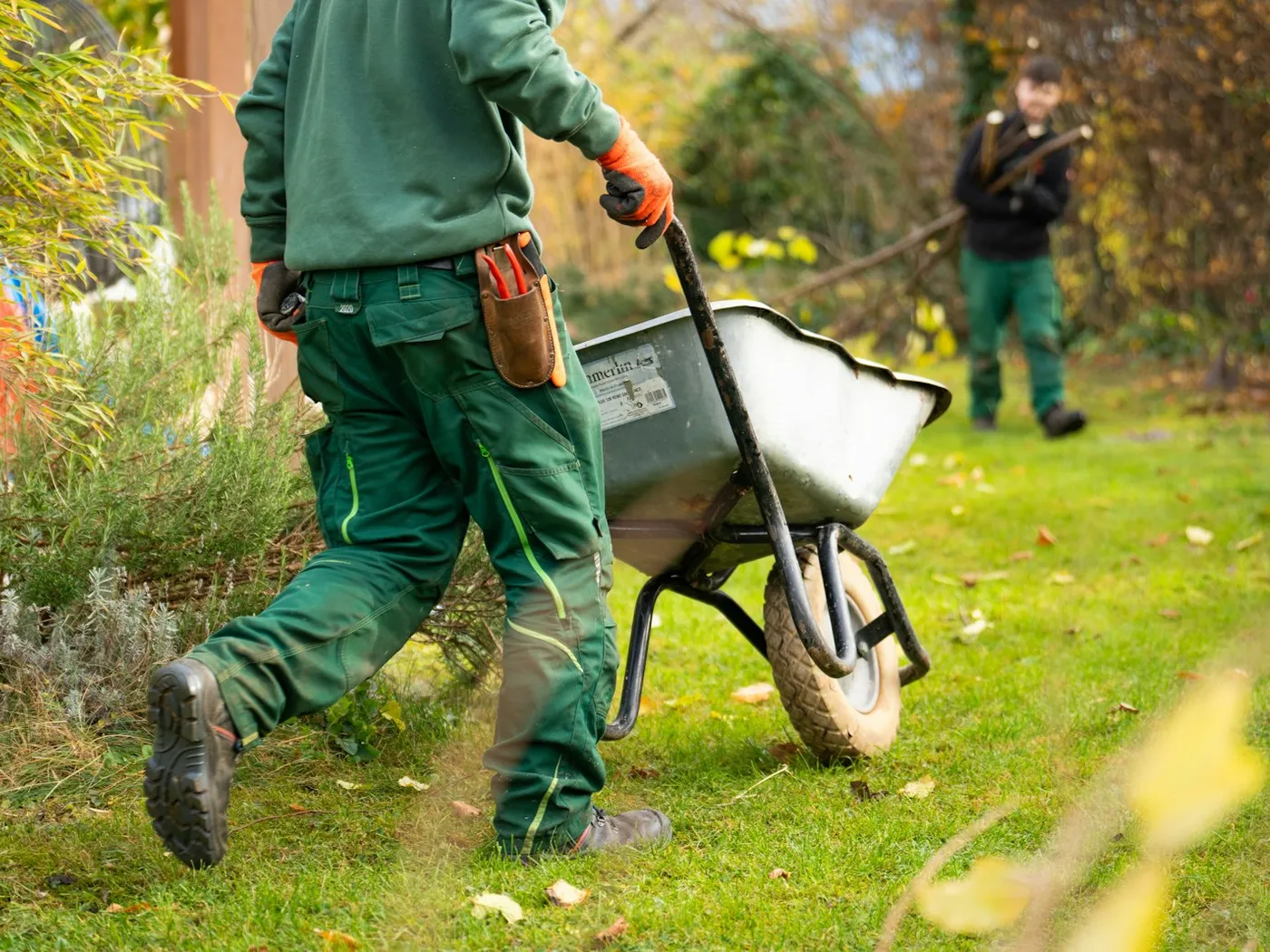 A gardener pushing a wheelbarrow across a lawn
